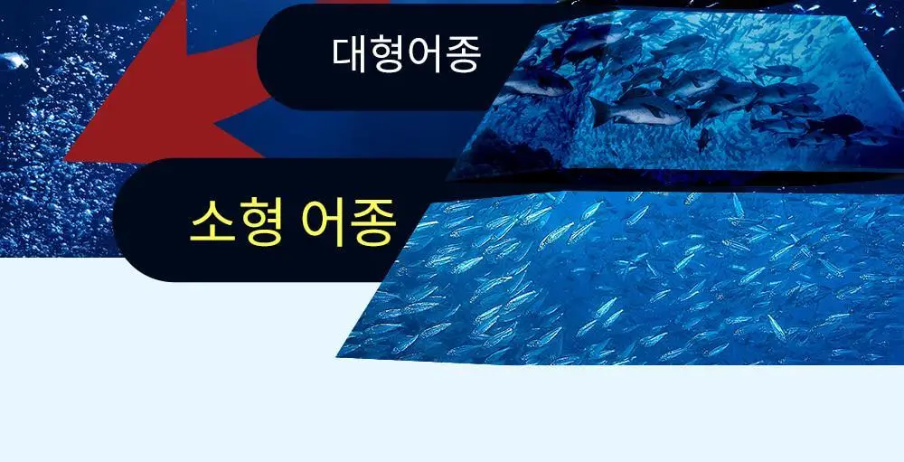 [고함량 오메가3] 그린몬스터 맥스 알티지(rTG) 오메가3 60캡슐 (1개월분) 상세페이지 14